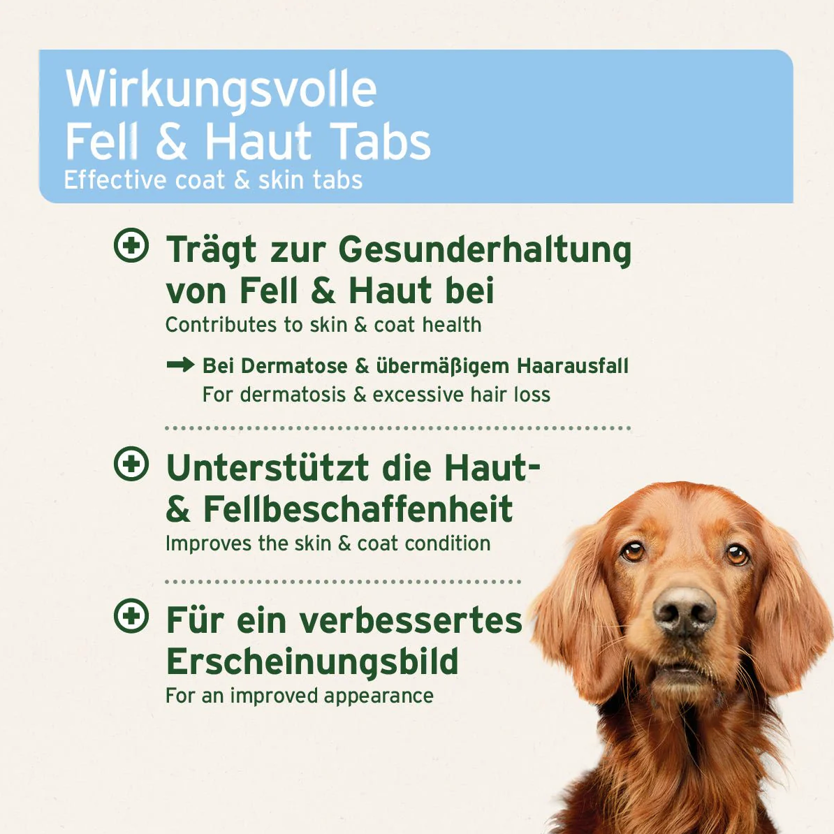 AniForte plus Fell & Haut für Hunde