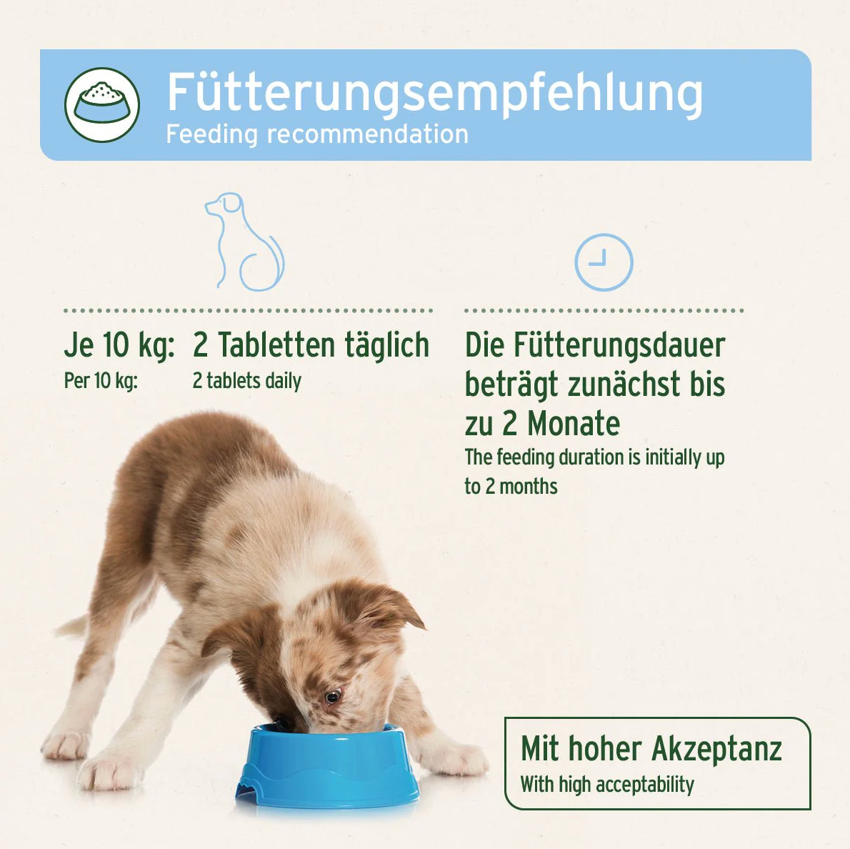 AniForte plus Fell & Haut für Hunde